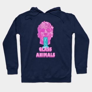 Glass Animals Soda Waterfalls (Head and Logo) Hoodie